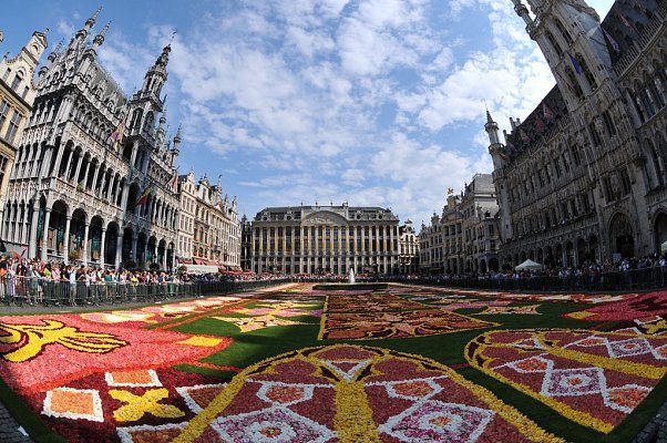 Почему Ari Jets — ваш надёжный партнёр в Европу